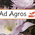 Ad Agros * Marina di Camerota