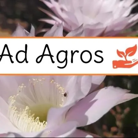 Ad Agros * Marina di Camerota