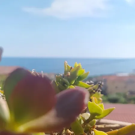 Bed & Breakfast Ad Agros Marina di Camerota