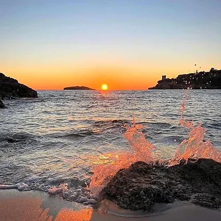 Ad Agros 4*